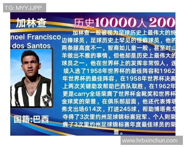 谁才是历史上最成功的足球巨星从荣誉成就到影响力全面解析 谁才是历史上最成功的足球巨星从荣誉成就到影响力全面解析