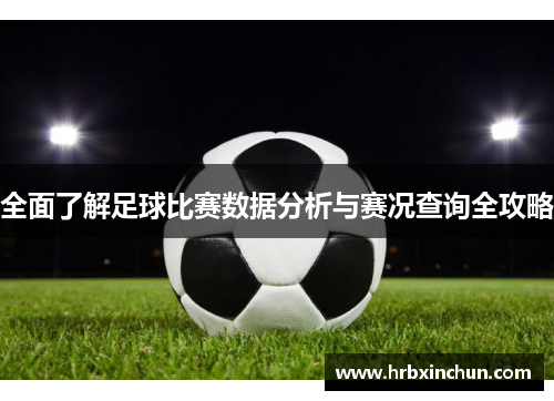 全面了解足球比赛数据分析与赛况查询全攻略